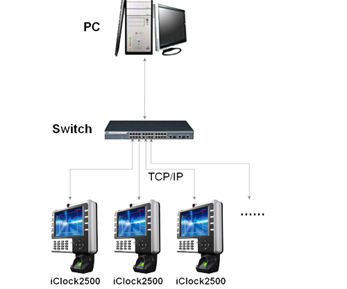 Latest Feature Product