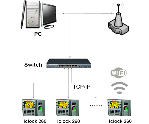 Latest Feature Product